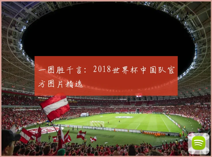 一图胜千言:2018世界杯中国队官方图片精选