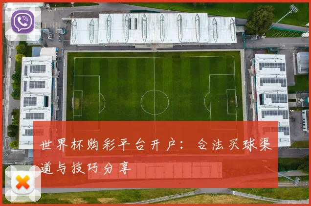 世界杯购彩平台开户:合法买球渠道与技巧分享