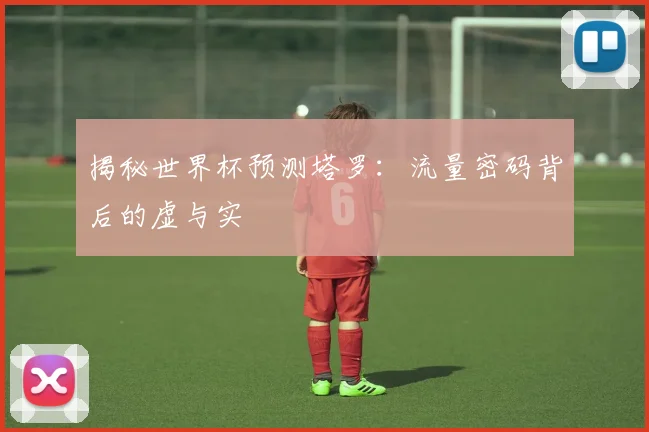 揭秘世界杯预测塔罗：流量密码背后的虚与实