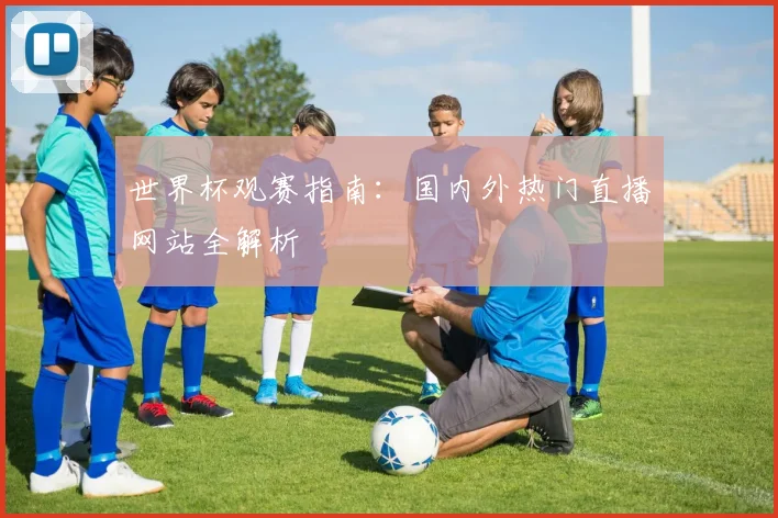 世界杯观赛指南：国内外热门直播网站全解析