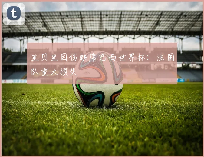 里贝里因伤缺席巴西世界杯：法国队重大损失