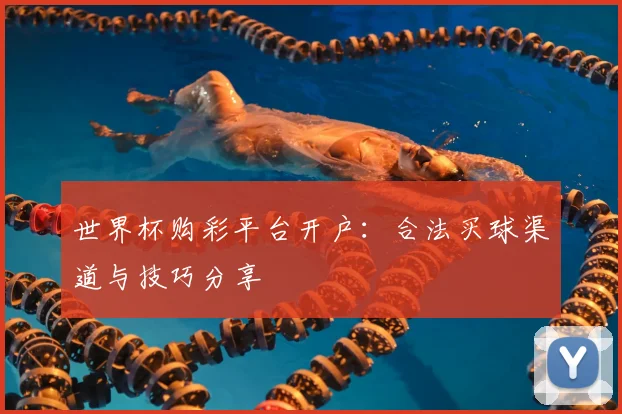 世界杯购彩平台开户:合法买球渠道与技巧分享