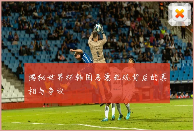 揭秘世界杯韩国恶意犯规背后的真相与争议