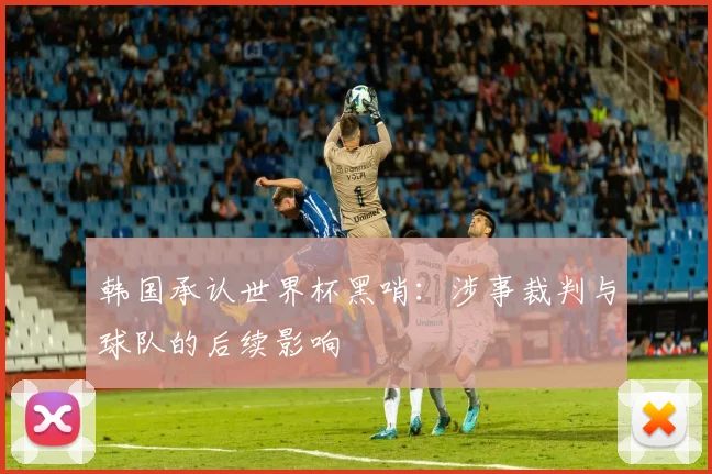韩国承认世界杯黑哨：涉事裁判与球队的后续影响