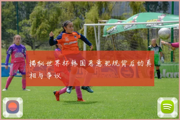 揭秘世界杯韩国恶意犯规背后的真相与争议