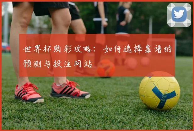 世界杯购彩攻略：如何选择靠谱的预测与投注网站