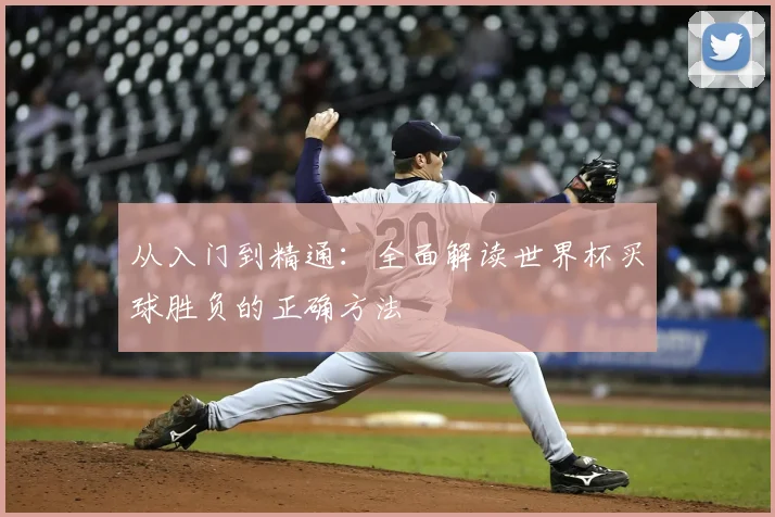 从入门到精通：全面解读世界杯买球胜负的正确方法
