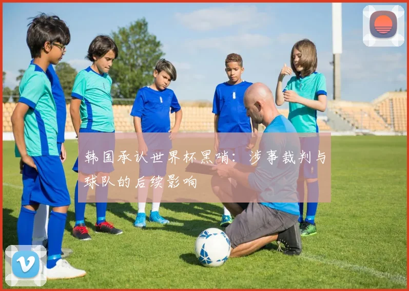 韩国承认世界杯黑哨：涉事裁判与球队的后续影响