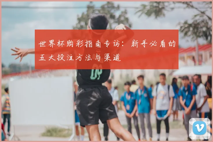 世界杯购彩指南专访：新手必看的五大投注方法与渠道