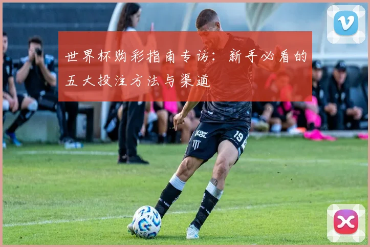 世界杯购彩指南专访：新手必看的五大投注方法与渠道