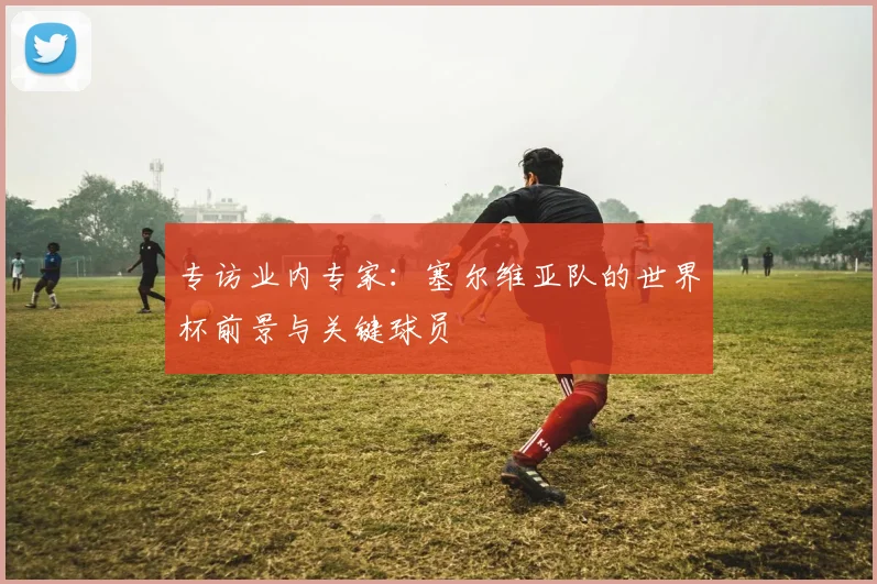 专访业内专家：塞尔维亚队的世界杯前景与关键球员