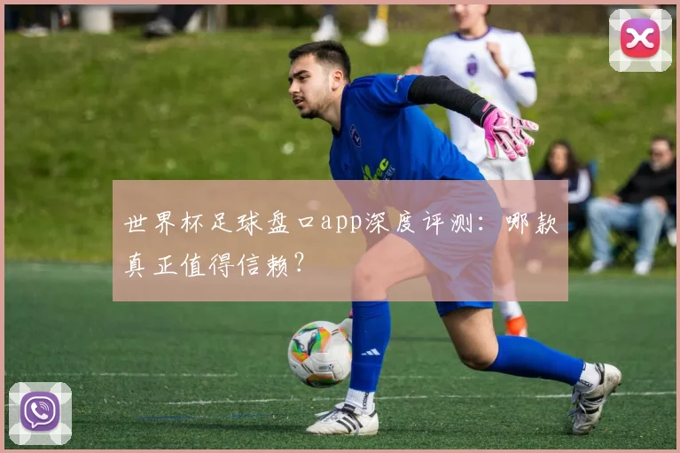 世界杯足球盘口app深度评测：哪款真正值得信赖？