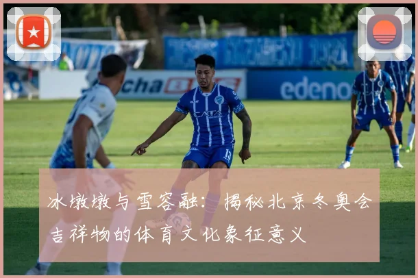 冰墩墩与雪容融：揭秘北京冬奥会吉祥物的体育文化象征意义